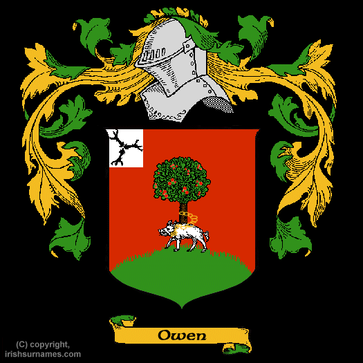 Owen family crest and meaning of the coat of arms for the ...