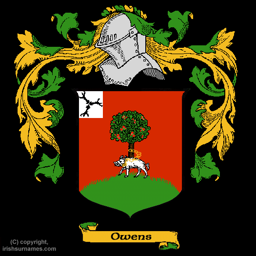 Owens Coat of Arms, Family Crest - Click here to view