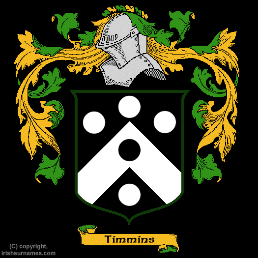 Timmins family crest