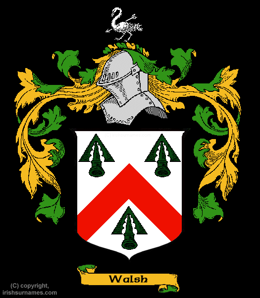 Walsh Coat of Arms, Family Crest - Click here to view