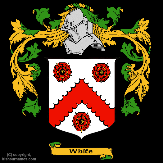 white family coat of arms