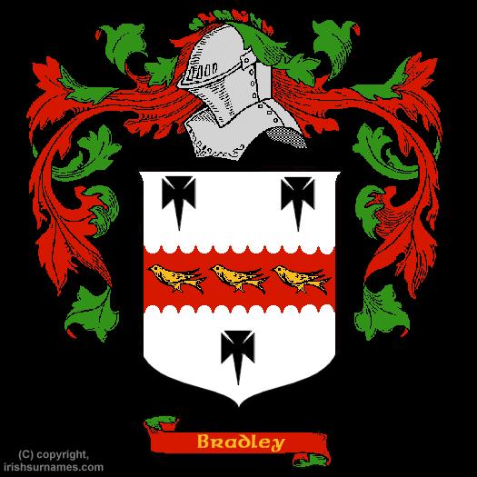 Bradley Coat of Arms, Family Crest - Click here to view