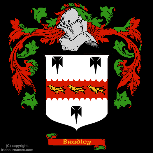 Bradley Family Crest, Click Here to get Bargain Bradley Coat of Arms Gifts