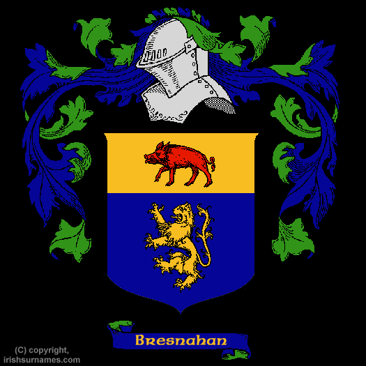 Bresnahan Coat of Arms, Family Crest - Click here to view