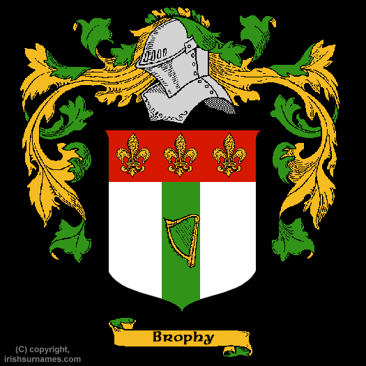 Brophy Coat of Arms, Family Crest - Click here to view