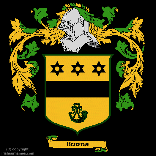 Burns Family Crest, Click Here to get Bargain Burns Coat of Arms Gifts