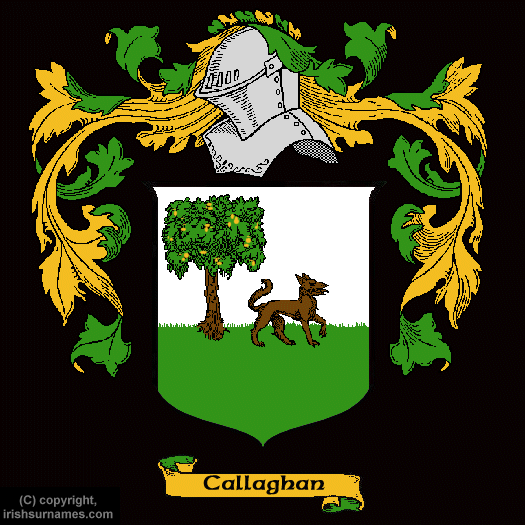 Callaghan Family Crest, Click Here to get Bargain Callaghan Coat of Arms Gifts