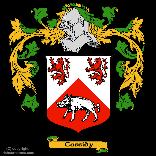 Cassidy Coat of Arms, Family Crest - Click here to view