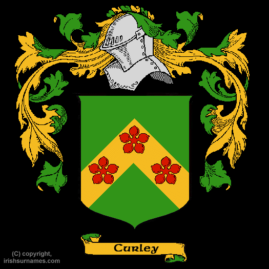 Curley Family Crest, Click Here to get Bargain Curley Coat of Arms Gifts