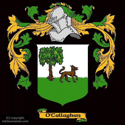 O'Callaghan Coat of Arms, Family Crest - Click here to view