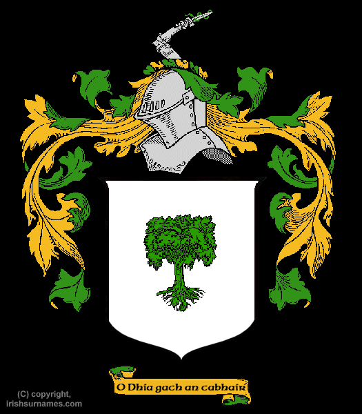 Coat of Arms for O'Connor Don - click to view