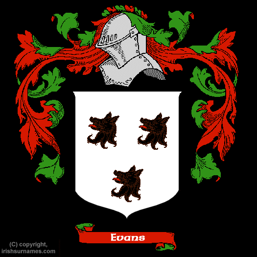 Evans Coat of Arms, Family Crest - Click here to view