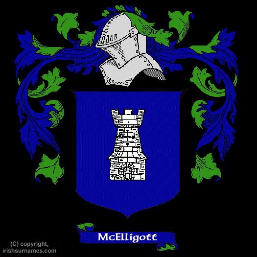 McElligott Coat of Arms, Family Crest - Click here to view