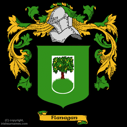 Flanagan Coat of Arms, Family Crest - Click here to view