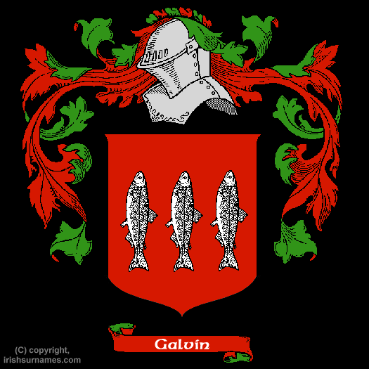 Galvin / / Coat of Arms, Family Crest - Click here to view