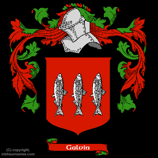 Galvin Family Crest, Click Here to get Bargain Galvin Coat of Arms Gifts