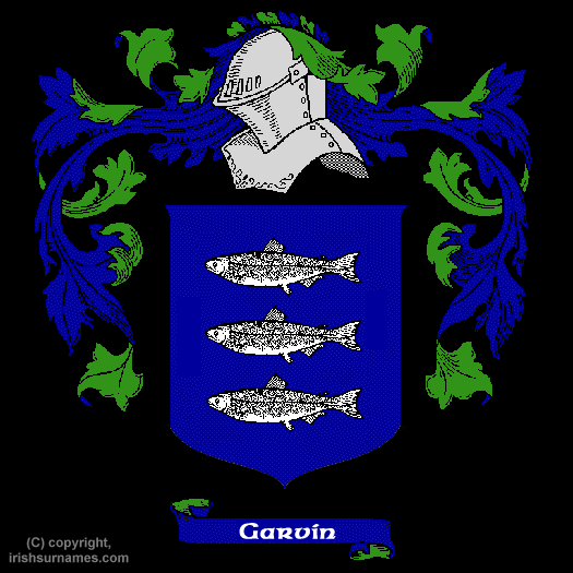 Garvin / Coat of Arms, Family Crest - Click here to view