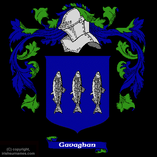 Gavaghan / Coat of Arms, Family Crest - Click here to view