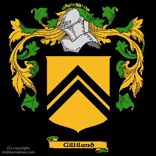 Gilliland Coat of Arms, Family Crest - Click here to view