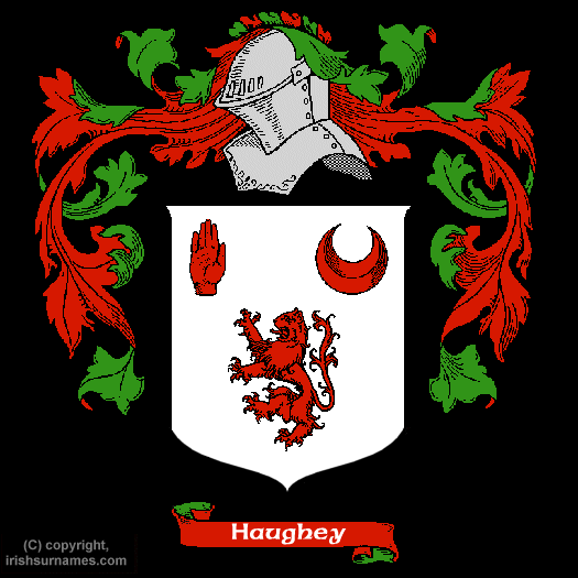 Haughey Coat of Arms, Family Crest - Click here to view