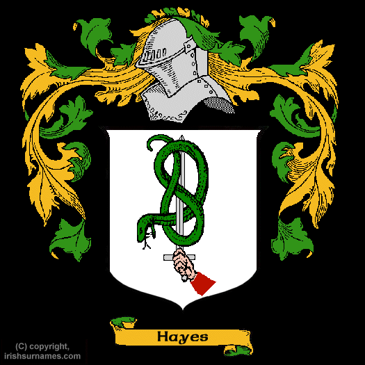 Hayes Coat of Arms, Family Crest - Click here to view