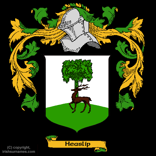Heaslip Coat of Arms, Family Crest - Click here to view