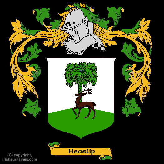 Heaslip Family Crest, Click Here to get Bargain Heaslip Coat of Arms Gifts