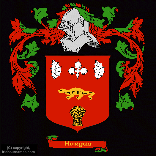 Horgan Coat of Arms, Family Crest - Click here to view