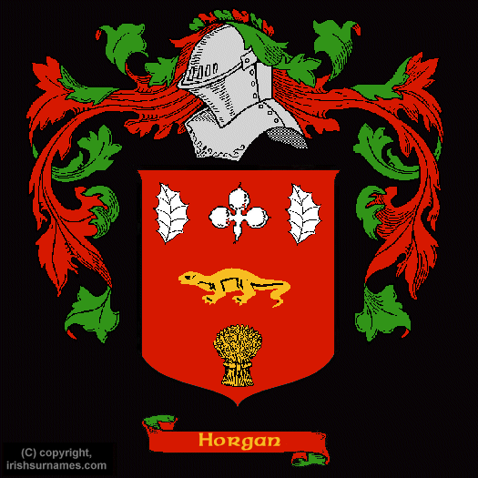 Horgan Family Crest, Click Here to get Bargain Horgan Coat of Arms Gifts