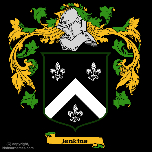 Jenkins Coat of Arms - Click here to view