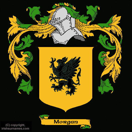 Morgan / Coat of Arms, Family Crest - Click here to view