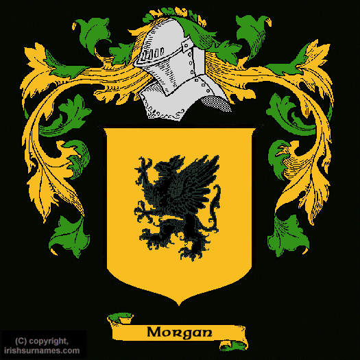 Morgan Family Crest, Click Here to get Bargain Morgan Coat of Arms Gifts