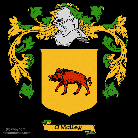 Omalley Coat of Arms, Family Crest - Click here to view