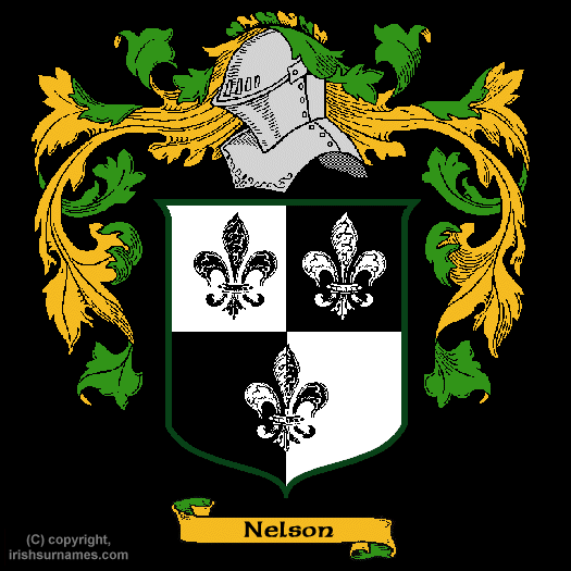 Nelson Coat of Arms, Family Crest - Click here to view