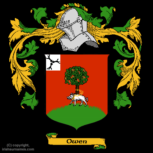 Owen Family Crest, Click Here to get Bargain Owen Coat of Arms Gifts