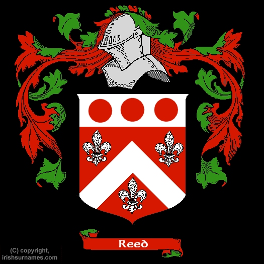 Reed Family Crest, Click Here to get Bargain Reed Coat of Arms Gifts