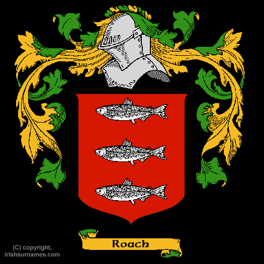 Roach Coat of Arms, Family Crest - Click here to view