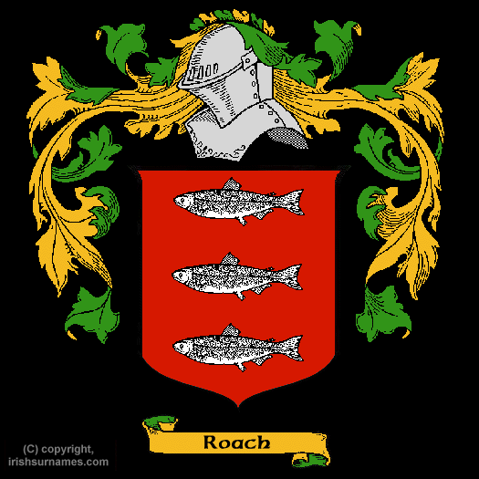 Roach Family Crest, Click Here to get Bargain Roach Coat of Arms Gifts