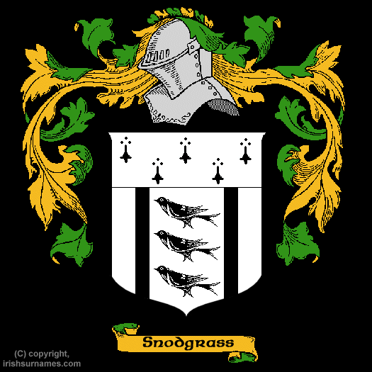 Snodgrass Coat of Arms, Family Crest - Click here to view
