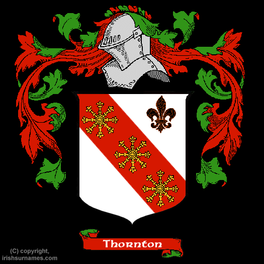 Thornton Family Crest, Click Here to get Bargain Thornton Coat of Arms Gifts