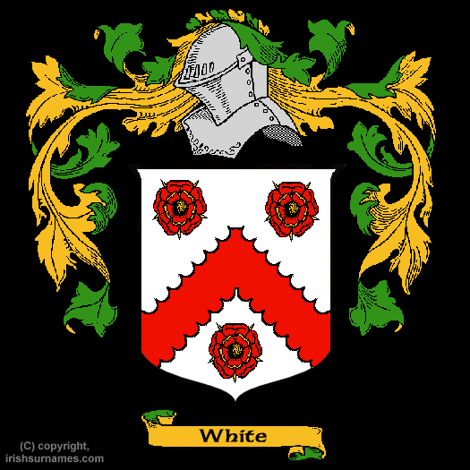 White Family Crest, Click Here to get Bargain White Coat of Arms Gifts