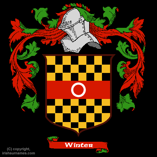 Winter Coat of Arms, Family Crest - Click here to view