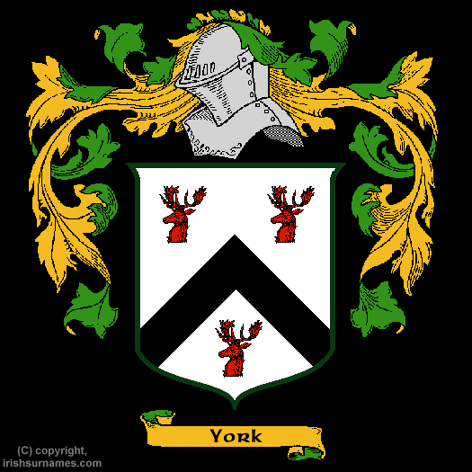 York Coat of Arms, Family Crest - Click here to view