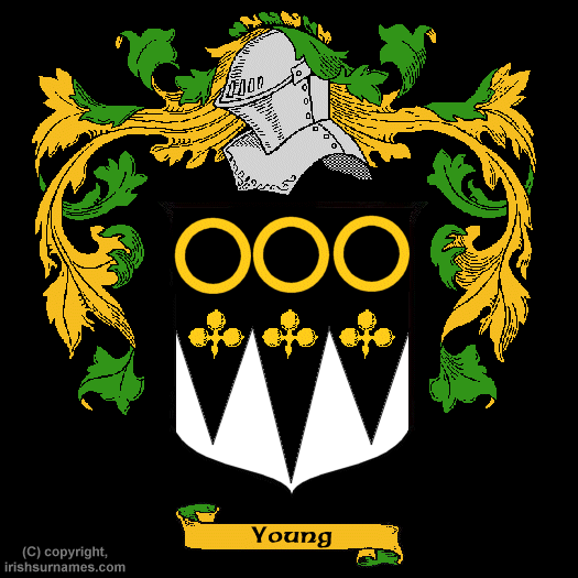 Young Coat of Arms, Family Crest - Click here to view